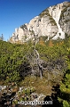 wbgarden alps 39e